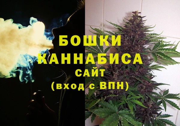 прущие грибы Лиски