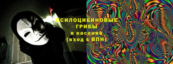 ПСИЛОЦИБИНОВЫЕ ГРИБЫ Лихославль