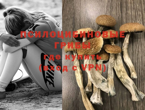 ПСИЛОЦИБИНОВЫЕ ГРИБЫ Лихославль