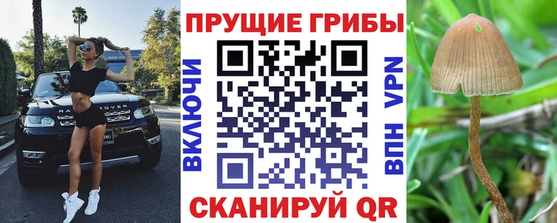 Галлюциногенные грибы мухоморы  Ярославль 