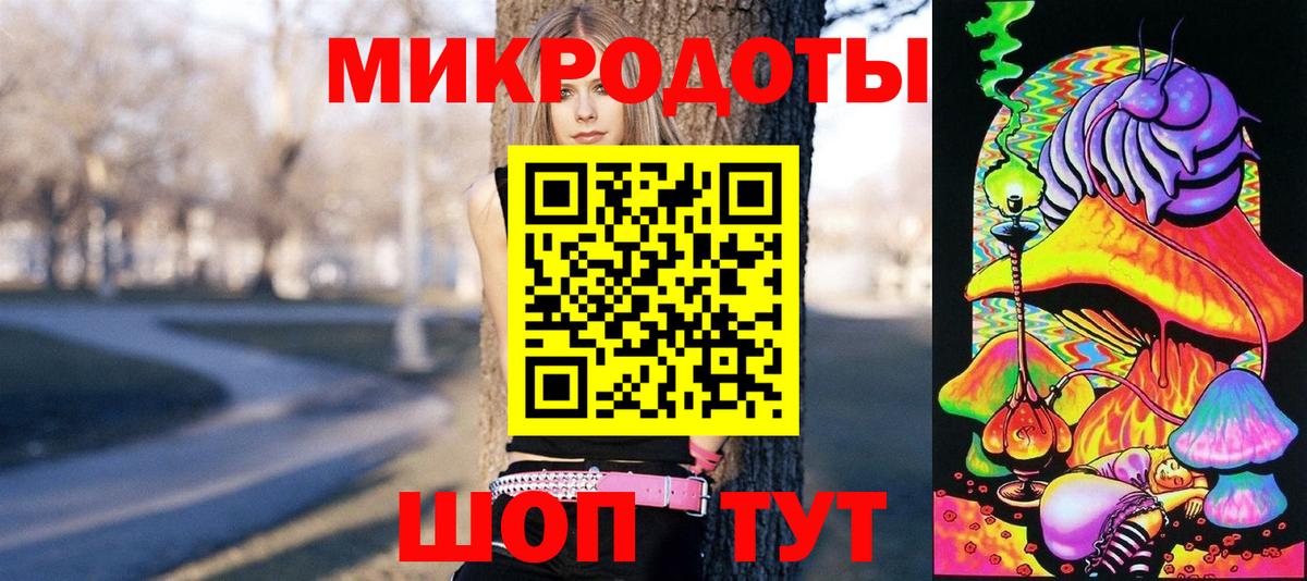 Галлюциногенные грибы прущие грибы  Вход с VPN  Ярославль  Псилоцибиновые грибы Psilocybe 